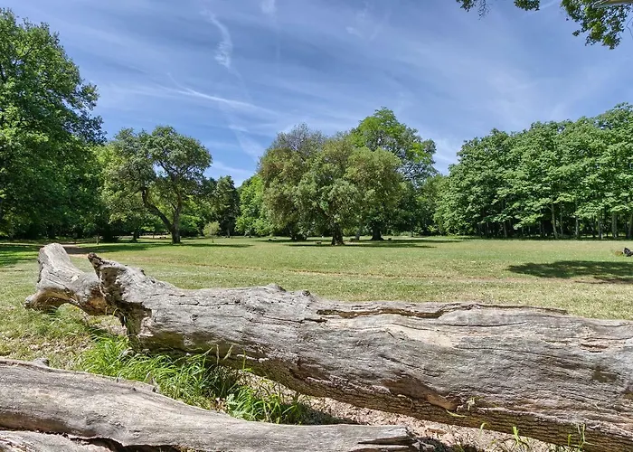 Διαμέρισμα Wellness Kaiser Πούλα