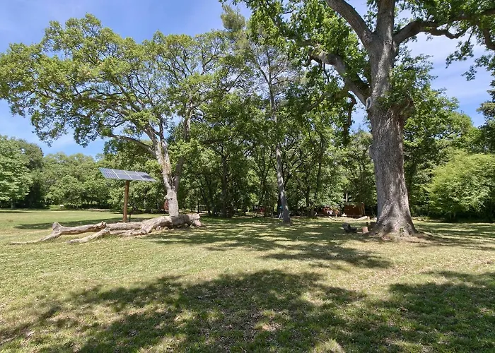 Διαμέρισμα Wellness Kaiser